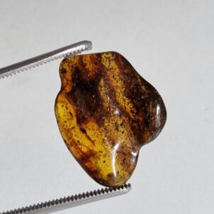 سنگ کهربا راف طبیعی بالتیک 8134