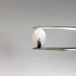 نگین عقیق شجر اصلی 250440