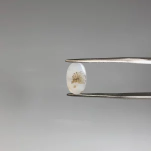 سنگ عقیق شجر اصلی کوچک 250448