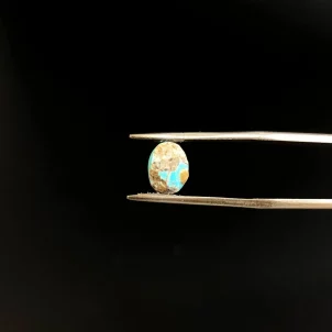 فیروزه نیشابوری اصل عجمی 250572
