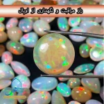 راز های مراقبت و نگهداری از اوپال