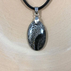 مدال فسیل مرجان طبیعی (بلک کورال) 251154